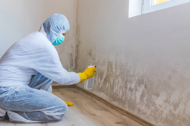Licensed Mold Testing service in Odessa, TX - WQB Mold Removal