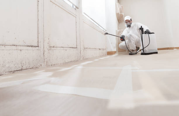 24/7 Emergency Mold Testing experts in Odessa, TX