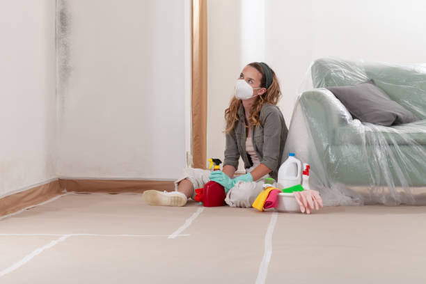 Reliable Mold Testing contractor in Odessa, TX by WQB Mold Removal